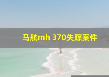 马航mh 370失踪案件